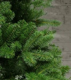 King Of Christmas 7.5' King Douglas Fir Slim Artificial Christmas Tree Unlit- Realistic|Slim