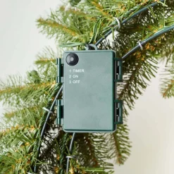 King Of Christmas 24