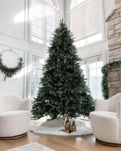 King Of Christmas 10' King Fraser Fir Artificial Christmas Tree With 1600 Warm White & Multi-Color LED Lights- Realistic|Pre-Lit