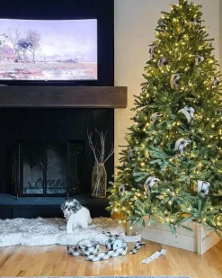 King Of Christmas 10' King Fraser Fir Artificial Christmas Tree With 1600 Warm White & Multi-Color LED Lights- Realistic|Pre-Lit