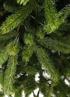 King Of Christmas 6.5' King Fraser Fir Artificial Christmas Tree Unlit- Realistic|Unlit