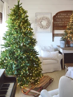 King Of Christmas 9' King Fraser Fir Artificial Christmas Tree Unlit- Realistic|Unlit