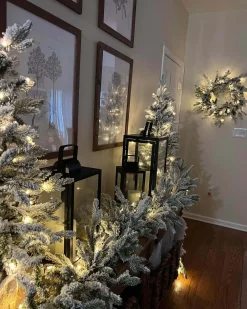 King Of Christmas 24