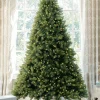 King Of Christmas 10' Royal Fir Artificial Christmas Tree With 1600 Warm White & Multi-Color LED Lights- Realistic|Pre-Lit