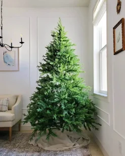 King Of Christmas 6.5' Scarlet Fir Artificial Christmas Tree With 600 Warm White LED Lights- Realistic|Pre-Lit