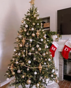 King Of Christmas 6.5' Scarlet Fir Artificial Christmas Tree With 600 Warm White LED Lights- Realistic|Pre-Lit