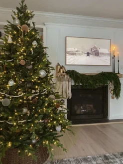 King Of Christmas 6.5' Scarlet Fir Artificial Christmas Tree Unlit- Realistic|Unlit