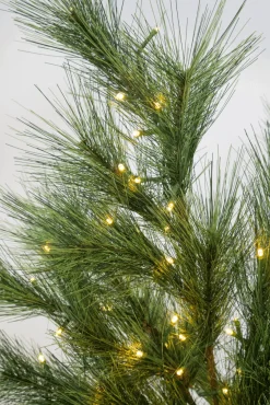 King Of Christmas Pine LED Branches (3 Pack) | - Tree Picks