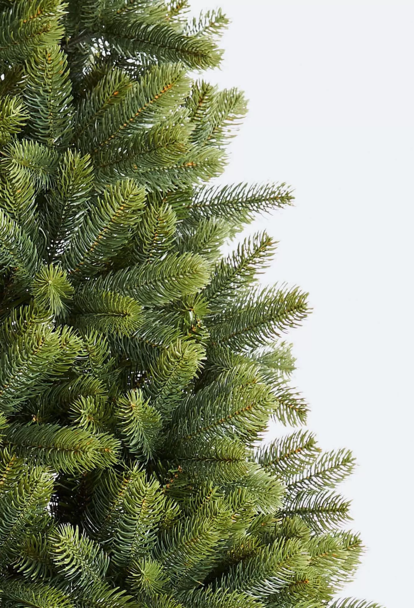 King Of Christmas 10' Royal Fir Artificial Christmas Tree With 1600 Warm White & Multi-Color LED Lights- Realistic | Pre-Lit