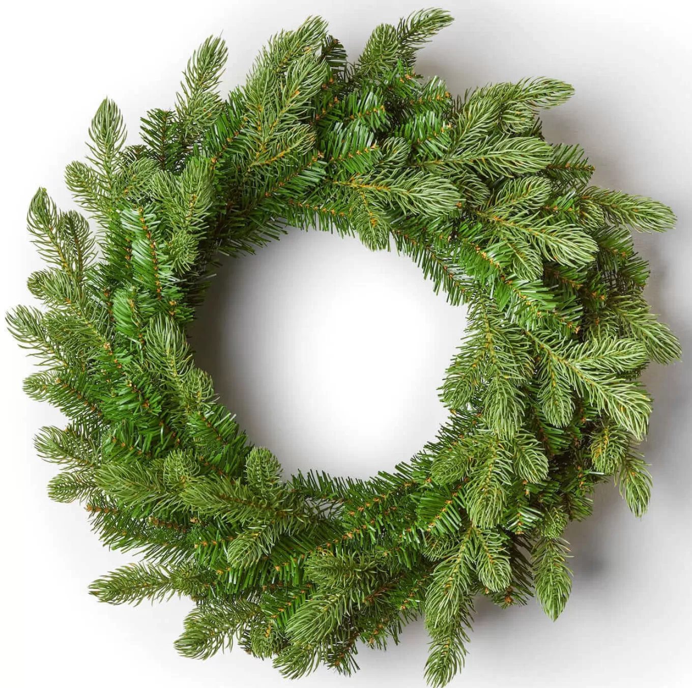 King Of Christmas 24" Cypress Spruce Wreath Unlit- Wreaths | Green