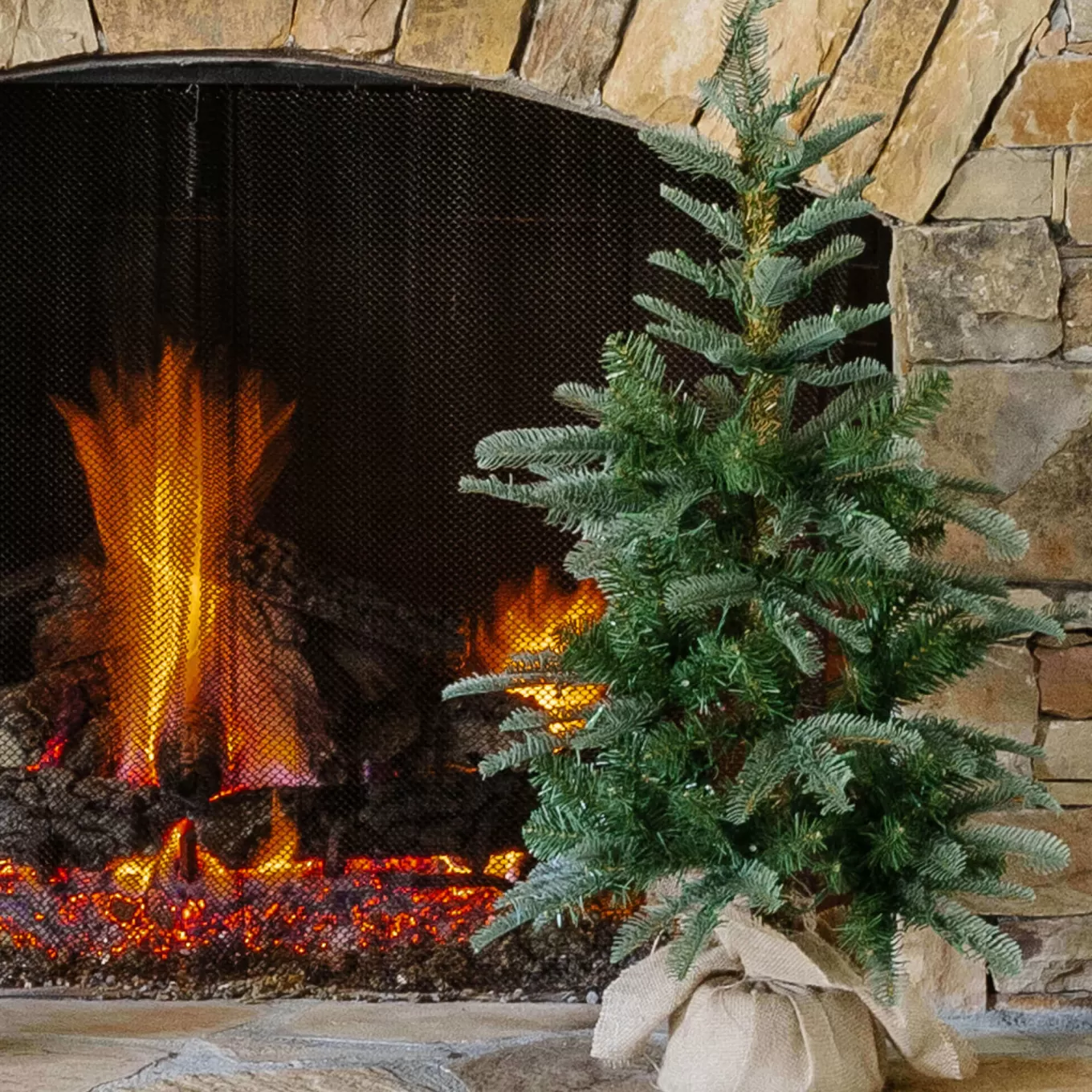 King Of Christmas 3' King Noble Fir Tabletop Tree With 70 Warm White LED Lights- 3 Foot | Tabletop
