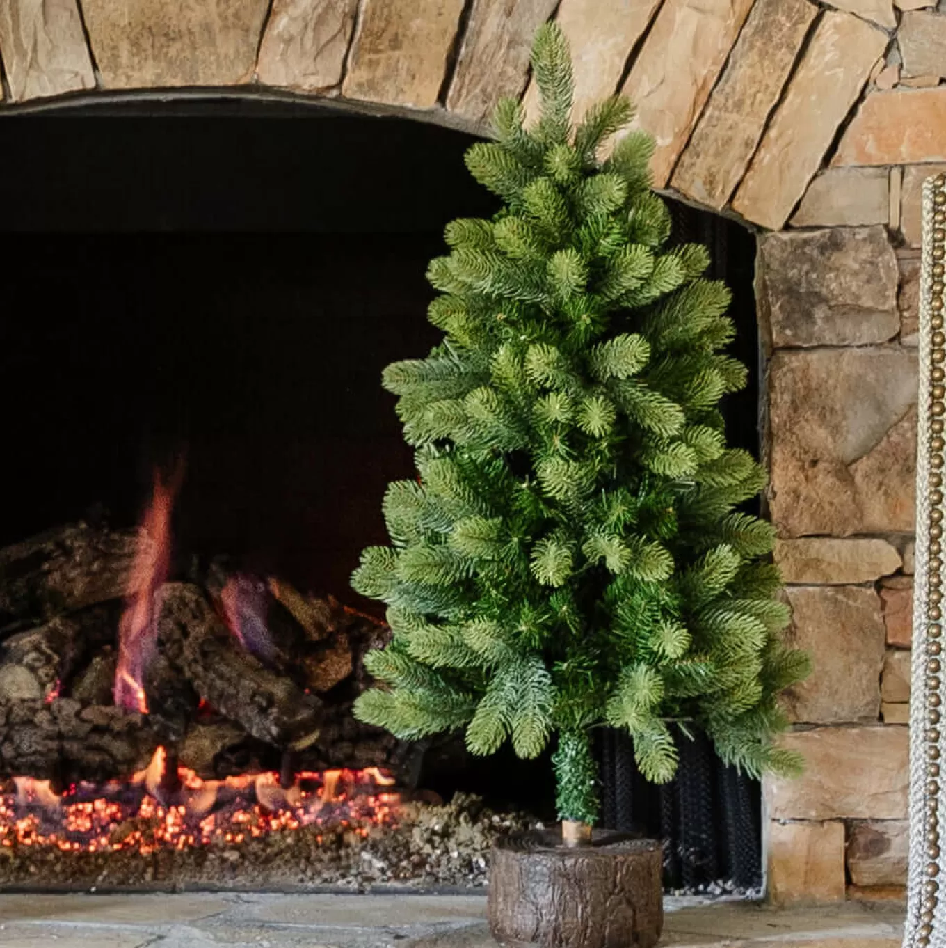 King Of Christmas 3' Royal Fir Tabletop Tree Unlit | - 3 Foot | Tabletop