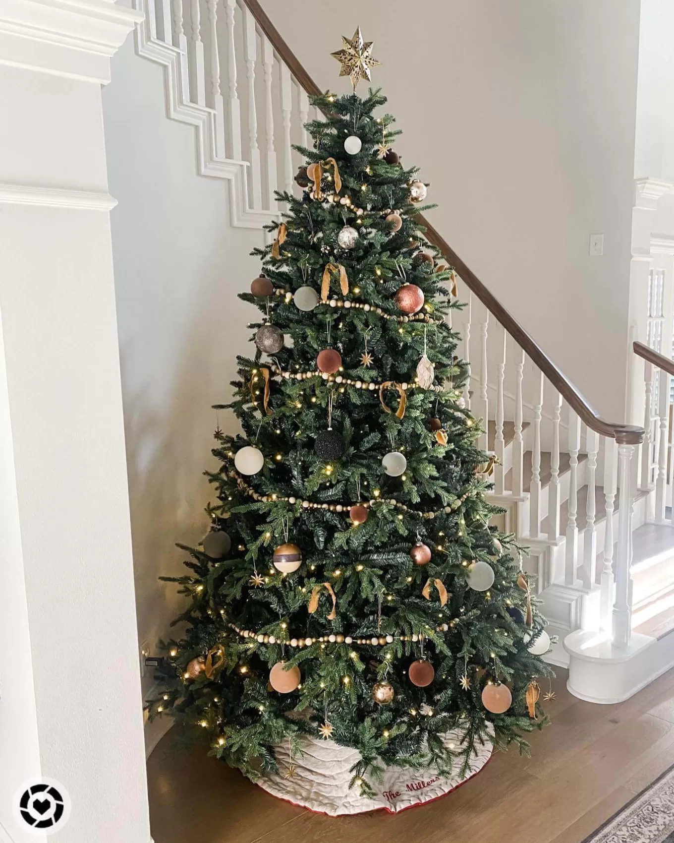 King Of Christmas 7.5' Scarlet Fir Artificial Christmas Tree With 800 Warm White LED Lights- Realistic | Full