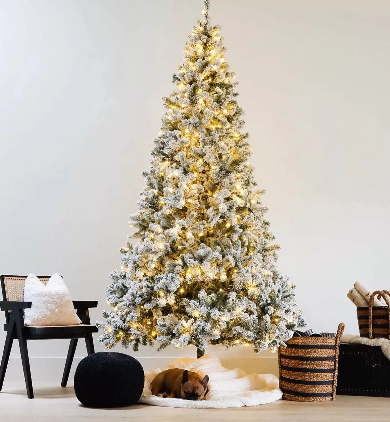 King Of Christmas 8' Prince Flock® Artificial Christmas Tree With 550 Warm White LED Lights- Classic | Pre-Lit